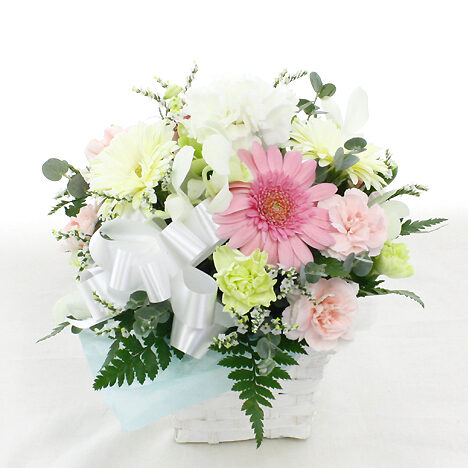 Offering arrangement for pets Petit