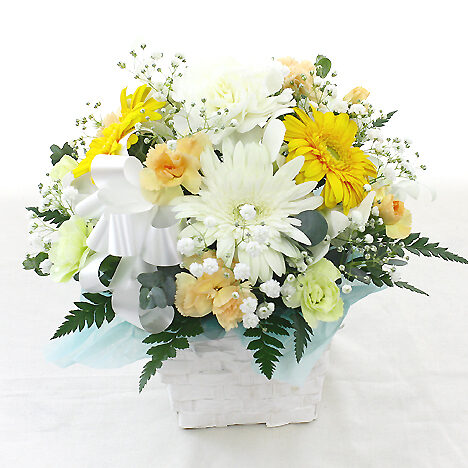 Offering arrangement for pets Petit