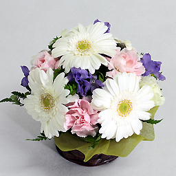 Seasonal Assorted Arrangement Vanilla