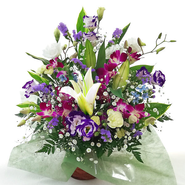 Arrangement Reminis