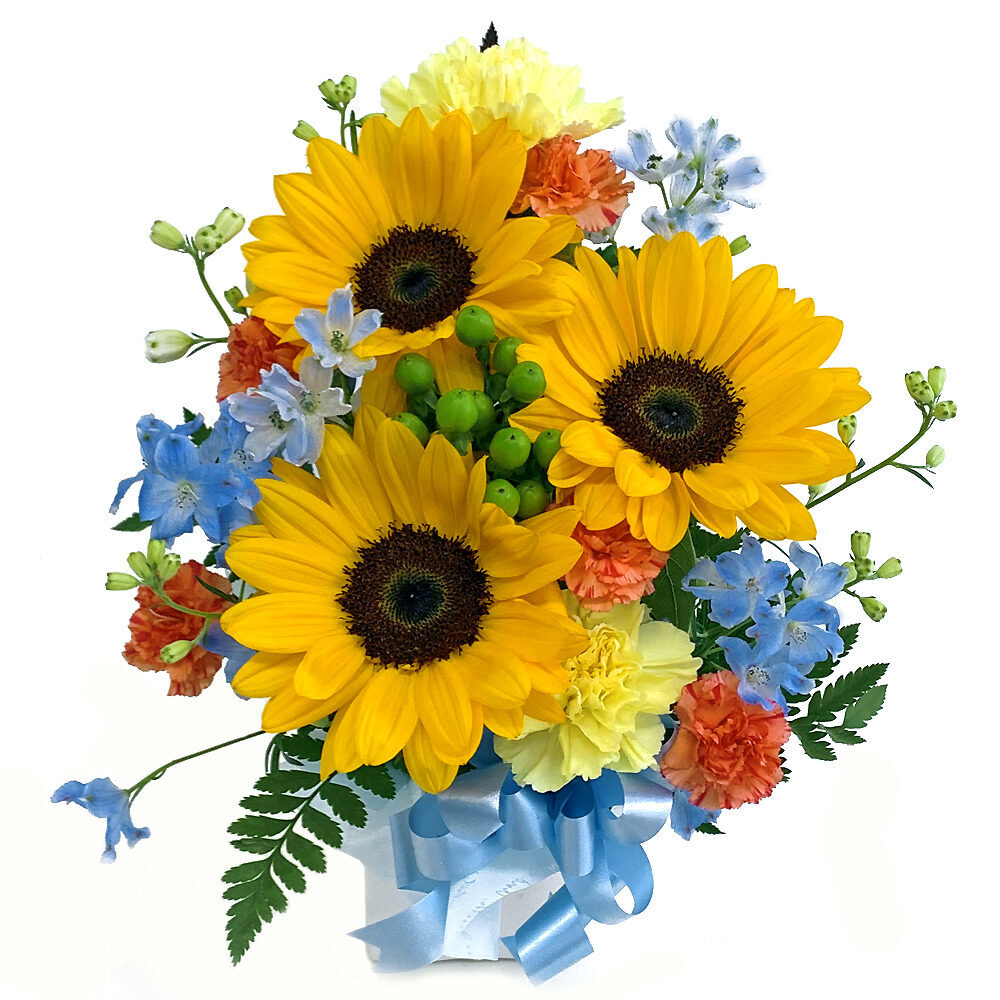 Entrusted Arrangement / Cutie