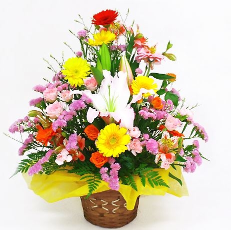 Omakase Arrangement / Hearty