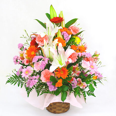 Omakase Arrangement / Precious