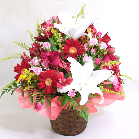 Arrangement Vivid