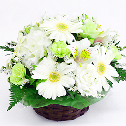 ice cream vanilla arrangement
