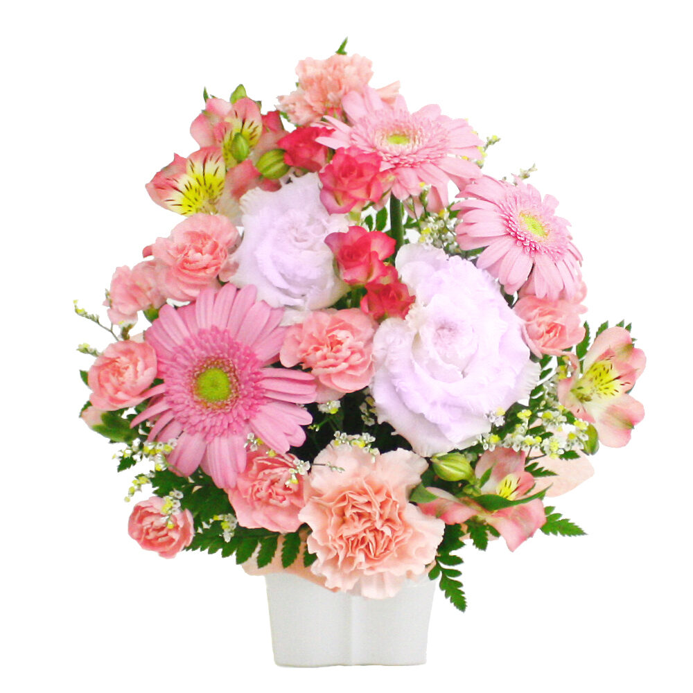 Omakase Arrangement / CutiePink