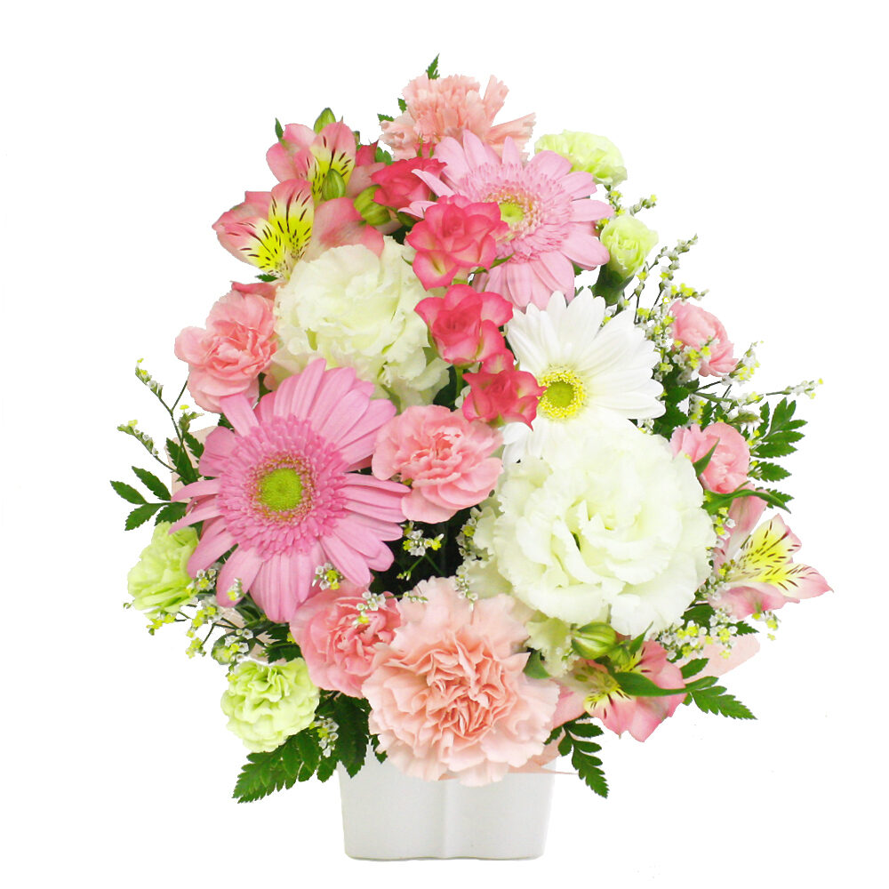 Omakase Arrangement ・Cutie White & Pink