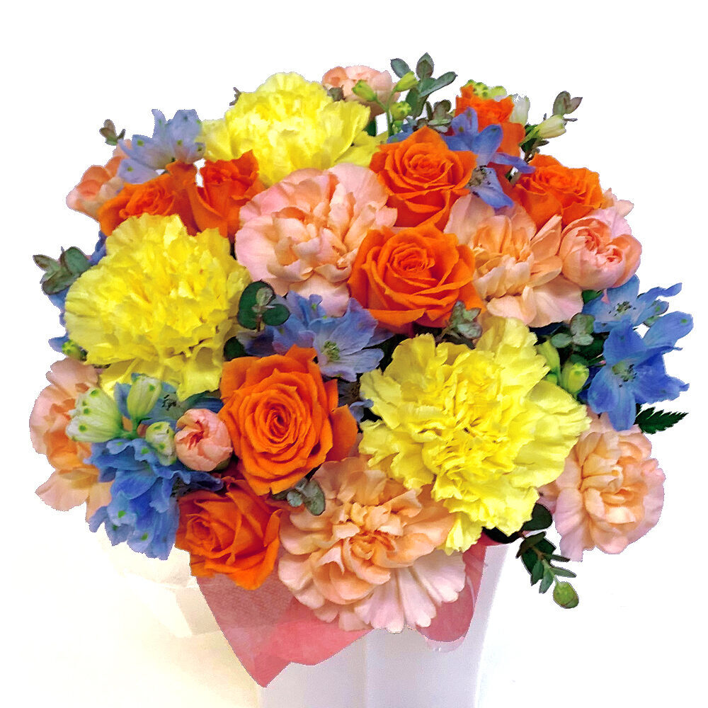 Arrangement Cutie Excela2