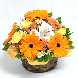 ice cream apricot arrangement