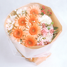 Ice cream, apricot, bouquet