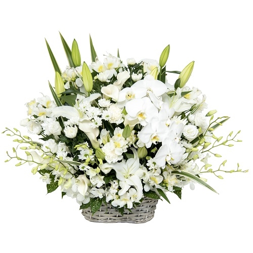 Offering Arrangement: Phoenix (JFN FF-027)