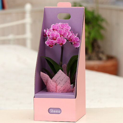 Table Phalaenopsis Orchid No. 3 1 stand