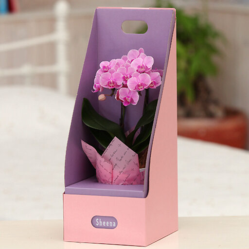 Table Phalaenopsis Orchid No. 3 2 stand