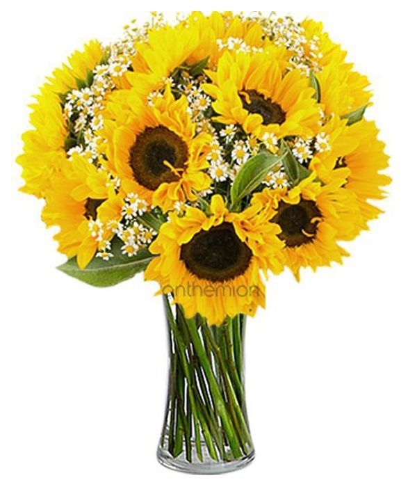 Sunflowers with chamomile (Basic)