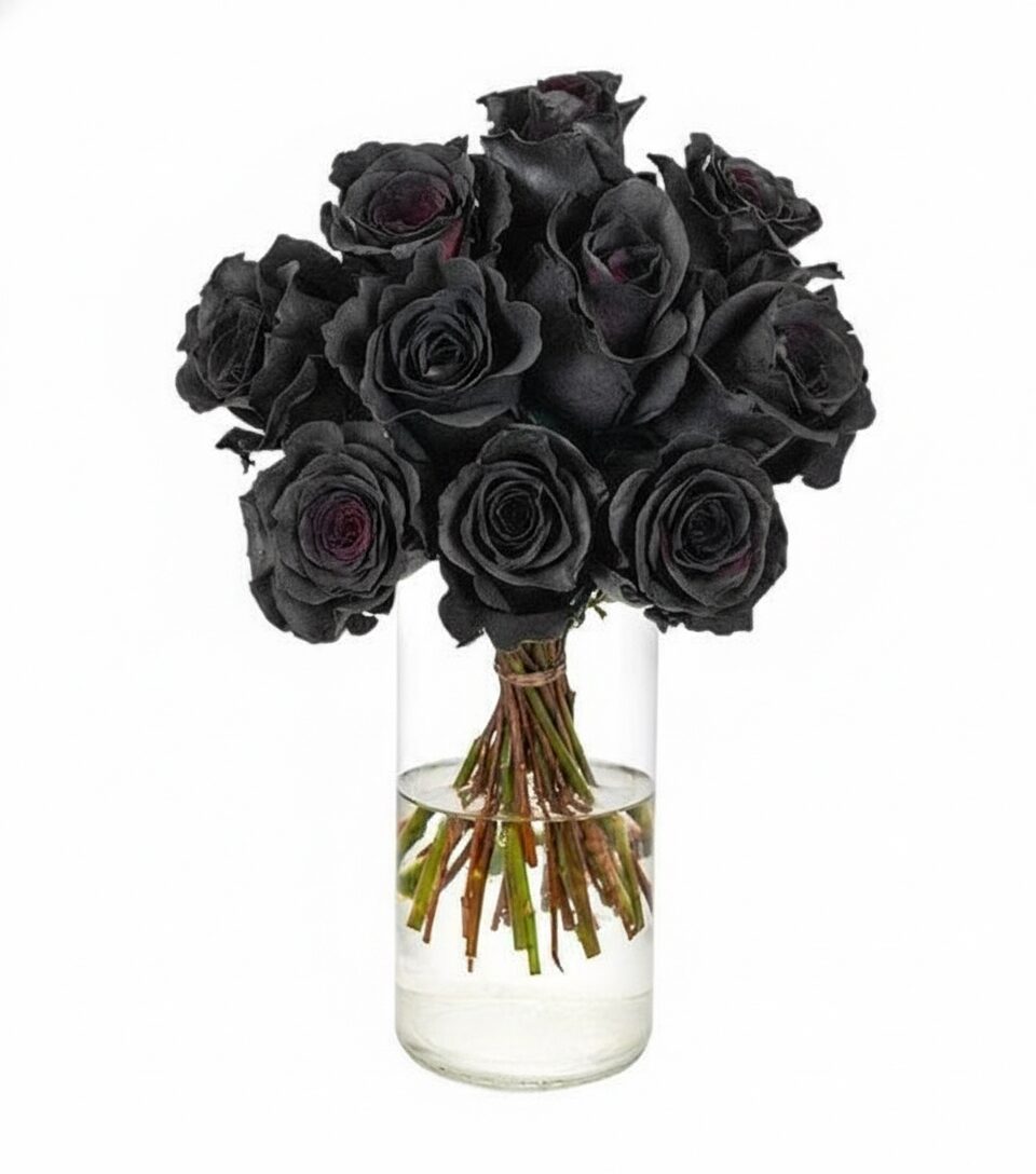 Bouquet of 10 black roses