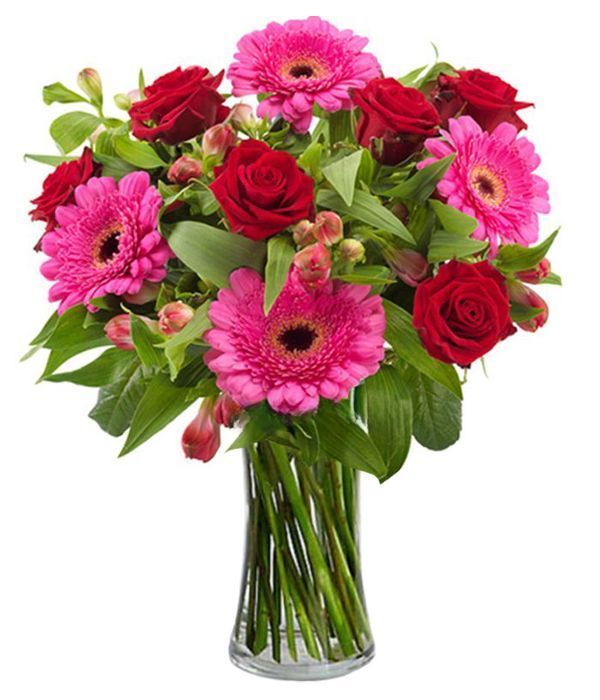 Fuchsia, pink and red flowers (Basic)