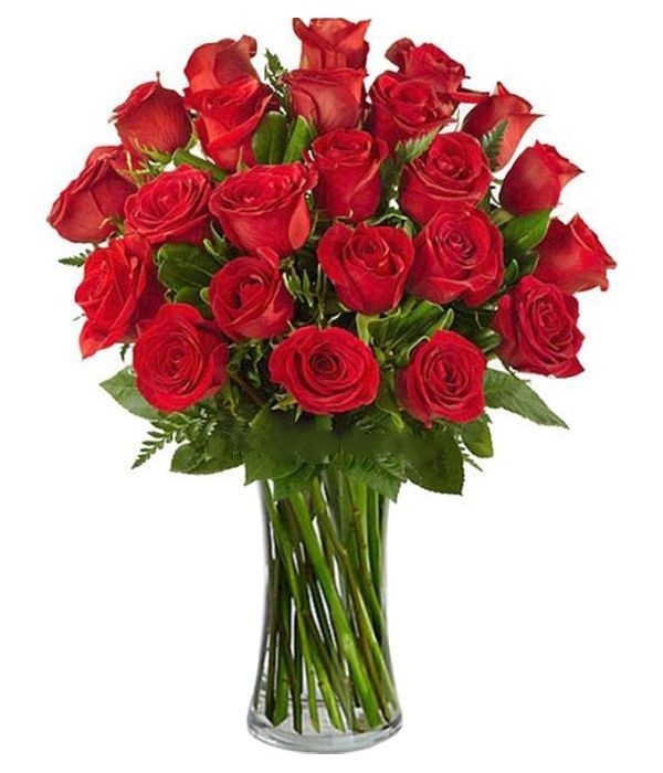 Bouquet of 24 red roses