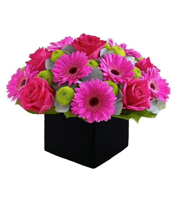 Fuchsia gerberas and roses in cube (Basic)
