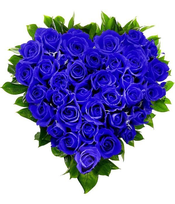 Blue roses heart