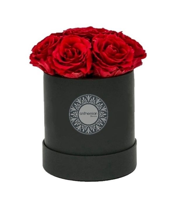 Black box in love