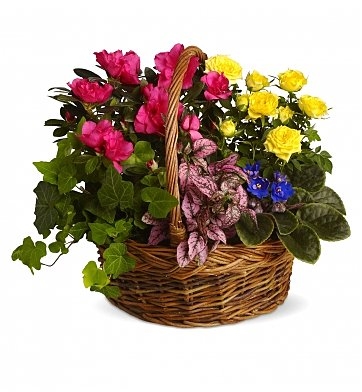 Flower Basket (BASE)