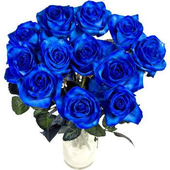 12 blue roses (BASE)