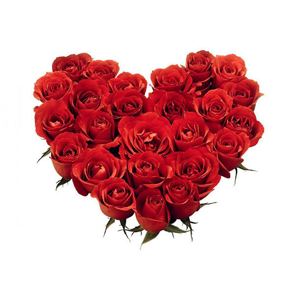 Red Heart (BASE)