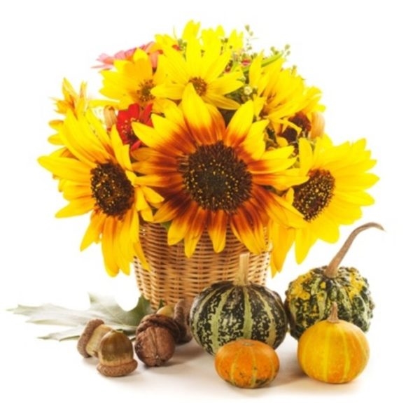 Sunflowers in a Basket (BASE)