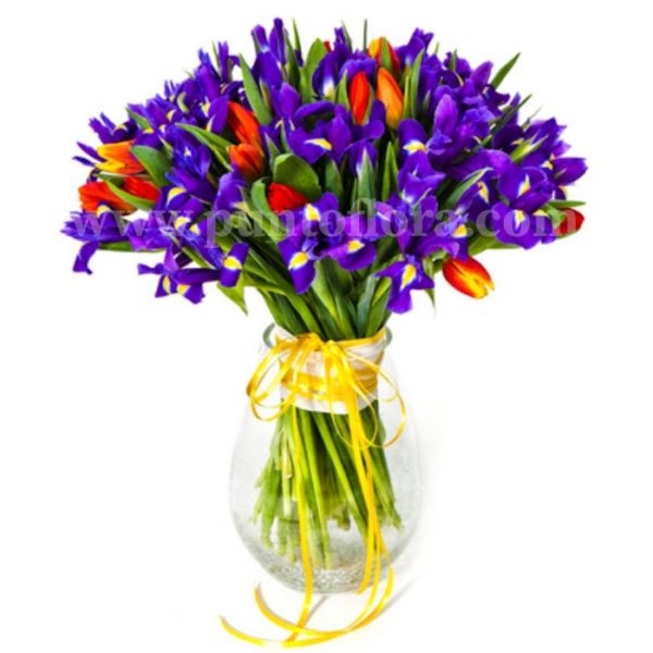 Blue Iris And Tulips