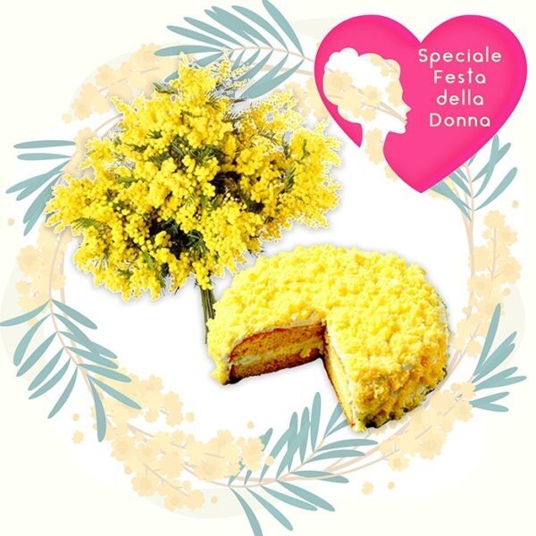 Cake and Mimosa (BASE)