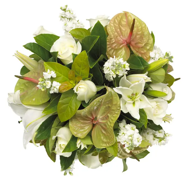 Verde Bouquet
