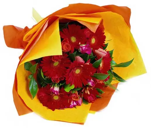 Bouquet Gerbera (Large)