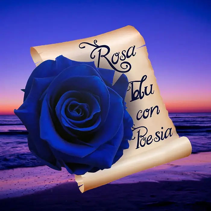 Rosa Blu con Poesia