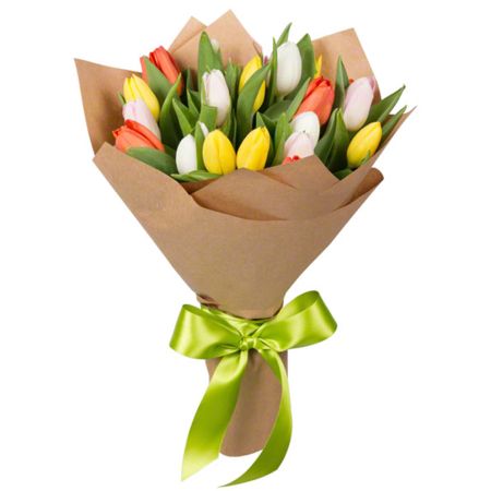 Spring Tulips