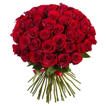 Composition of 51 Roses