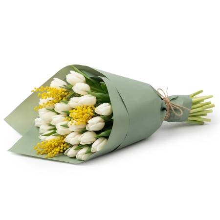 Pure White Tulips