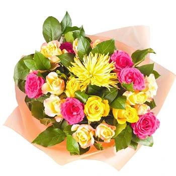 Bursts of Sunshine