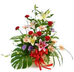 Asian Paradise Basket (Medium)