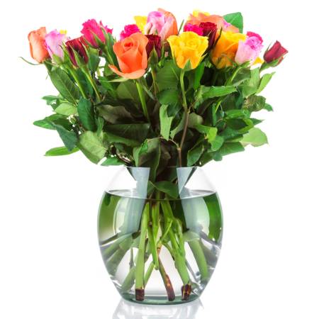 Enchanted Garden With Assorted Short Stemmed Roses