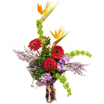 Paradise And Daisies Bouquet (Medium)