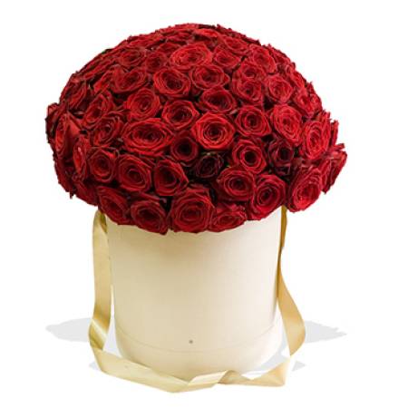 Red Riveting Roses