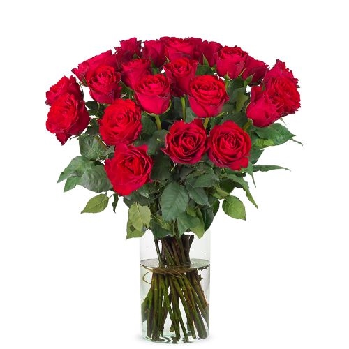 30 red roses