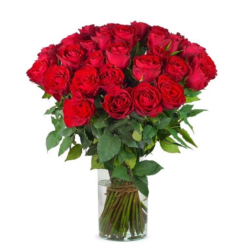 40 red roses