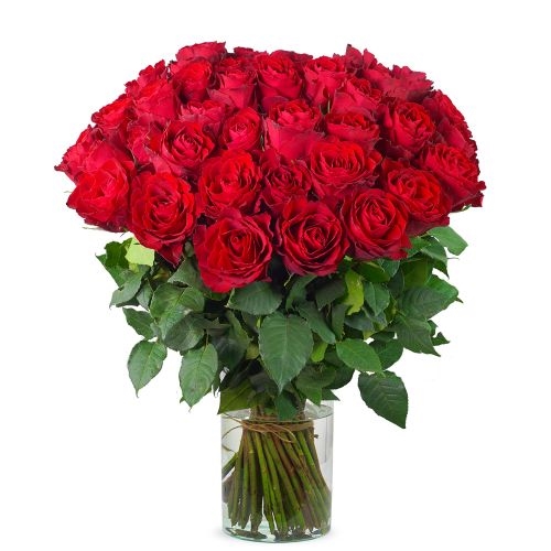 50 red roses