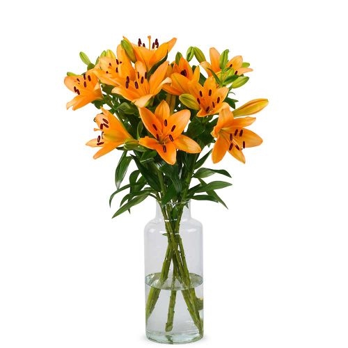 Lilies - Orange Lilies (Small)