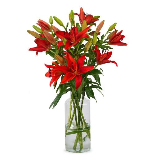 Lilies - Red Lilies (Small)