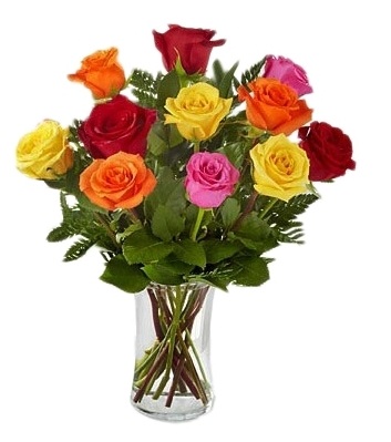 Vivid Roses