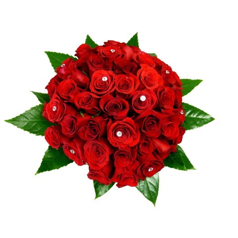 Mass of Fifty Red Roses