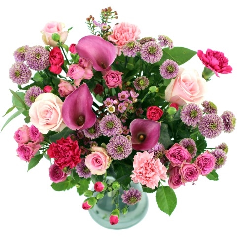 Fondest Wishes