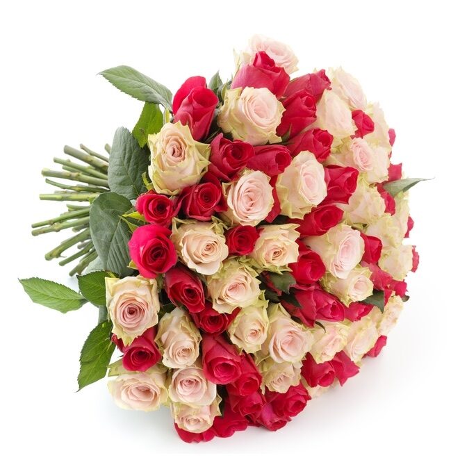 50 pink and red roses (Standard)